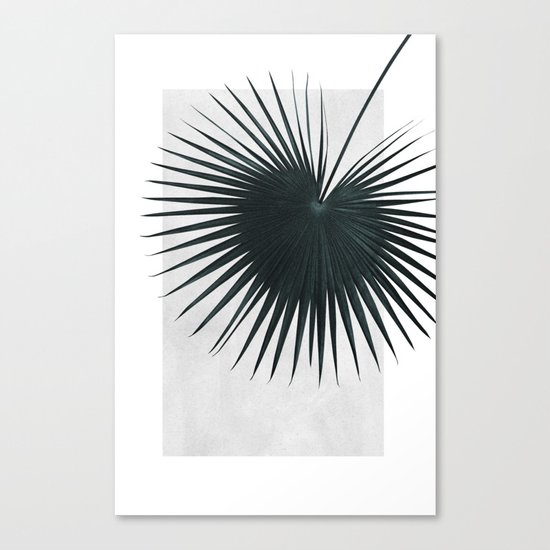 Feel Canvas Print