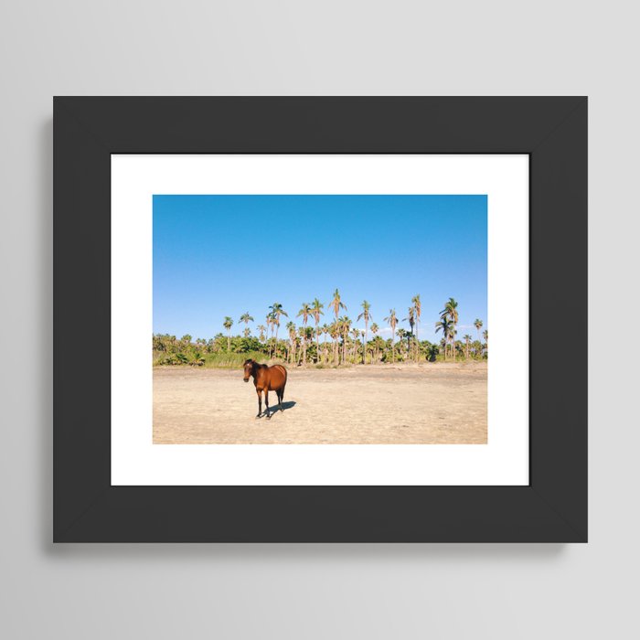 Framed Art Print