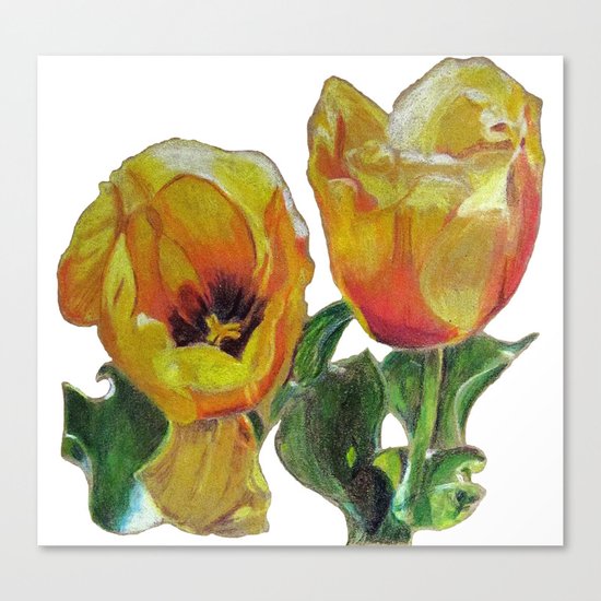 Bright Yellow Tulips Flower Drawing Canvas Print