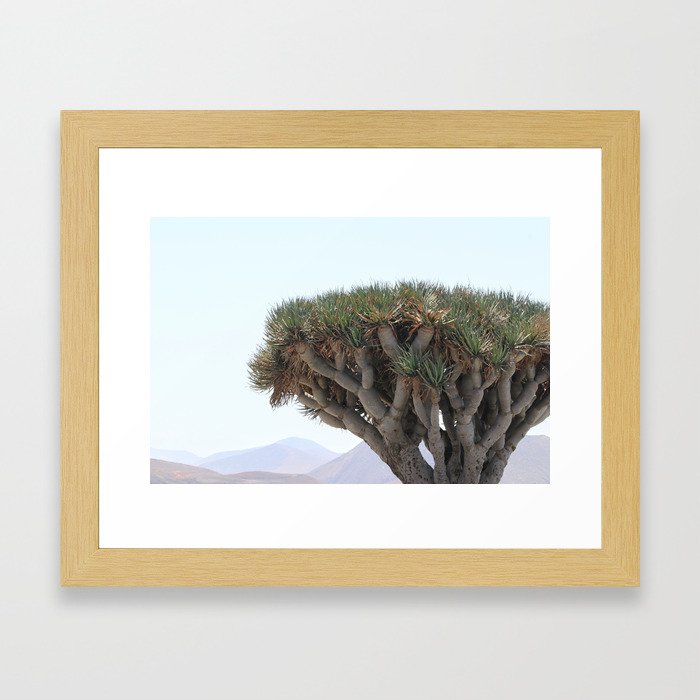Trees of Lanzarote Framed Art Print