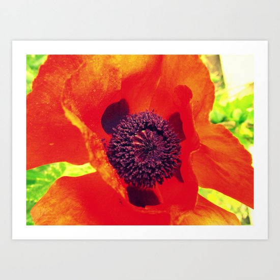 Let's Pop Art Print
