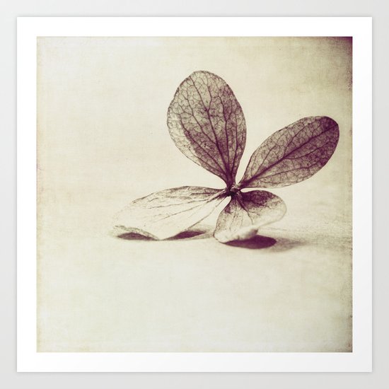 landed Art Print