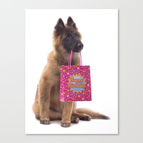 Birthday dog Canvas Print