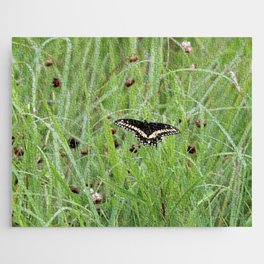 Black Swallowtail Butterfly in the Grass Jigsaw Puzzle