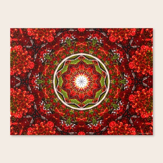 Flamboyant Canvas Print