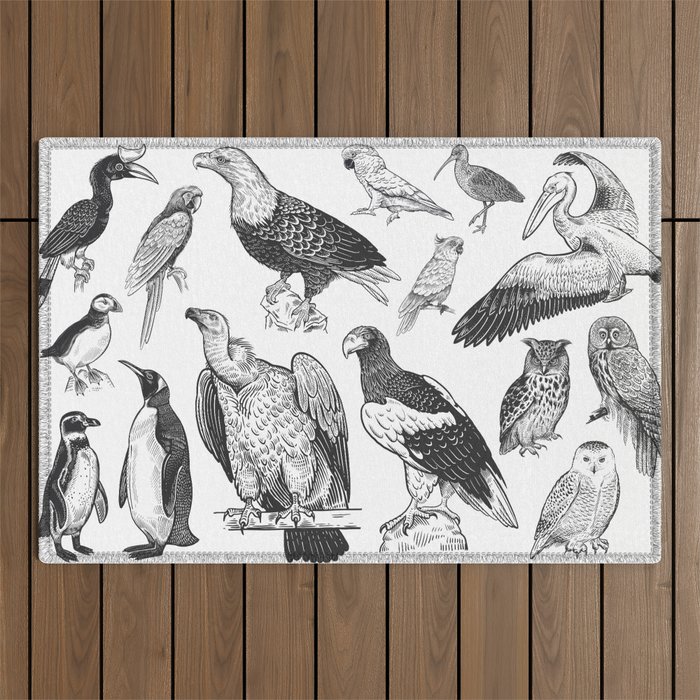 Birds of wildlife set. Eagles, owls, parrots, pelican, penguins, ibis, puffin isolated on white background. Tropical, exotic, water birds. Black white illustration. Vintage. Vintage. Realistic graphics Outdoor Rug