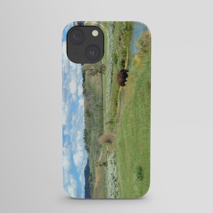 Bison, Grand Teton National Park, Wyoming iPhone Case
