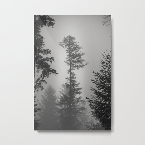Les Étangs Fantomatiques I Metal Print