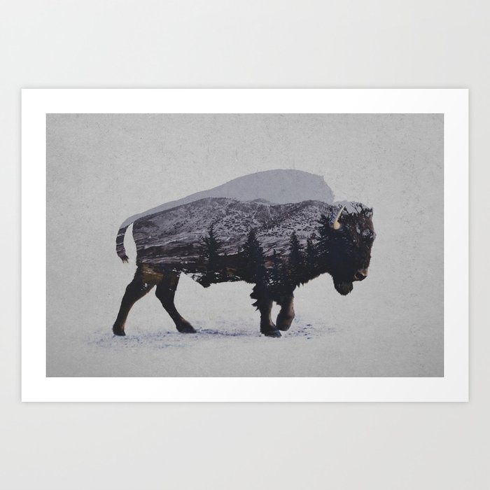 The American Bison Art Print