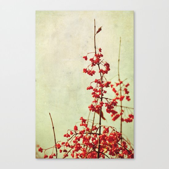 autumn berries Canvas Print
