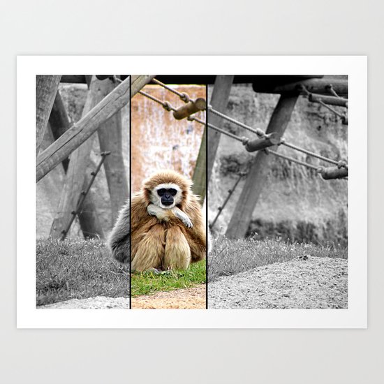 FOOLS Art Print