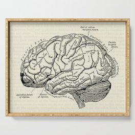Vintage medical illustration of the human brain Serving Tray