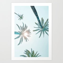 Seville VII [ Andalusia, Spain ] Sun light on palm trees⎪Colorful travel photography Poster Art Print