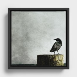 Crow at Sea Framed Canvas