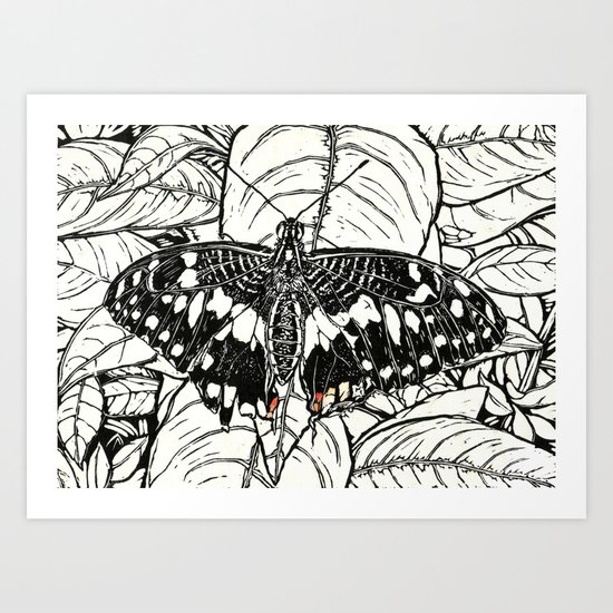 Chequered Swallowtail Art Print