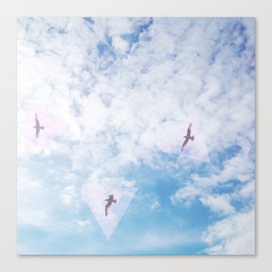 Flight Path Canvas Print