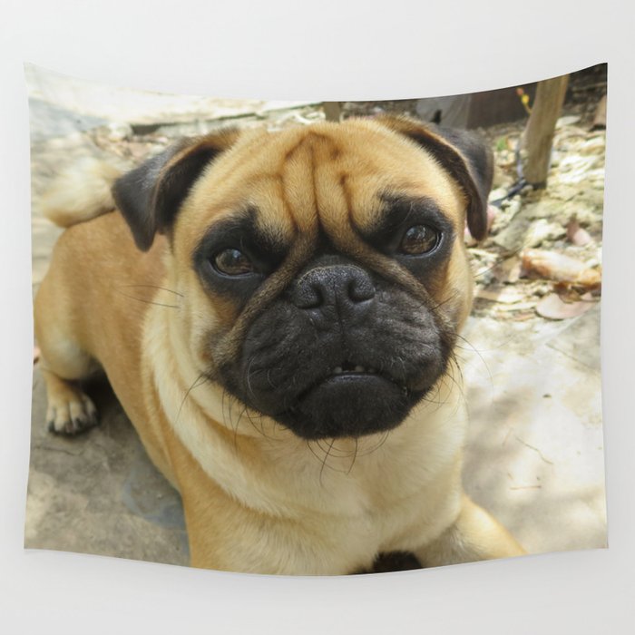 Grover - Pug Wall Tapestry