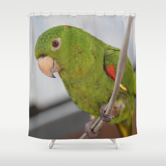 Brazil Photography - Green Parrot Sitting On A Thin Rope Shower Curtain