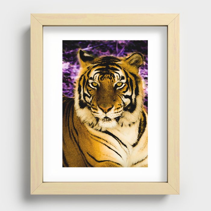 Royal Tiger Recessed Framed Print