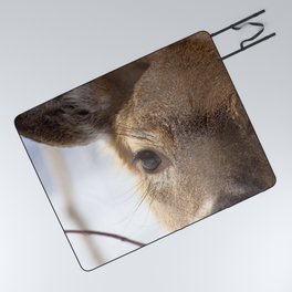 Watercolor Deer, Eastern Whitetail 14, Antietam, Maryland, Cold Stare Picnic Blanket