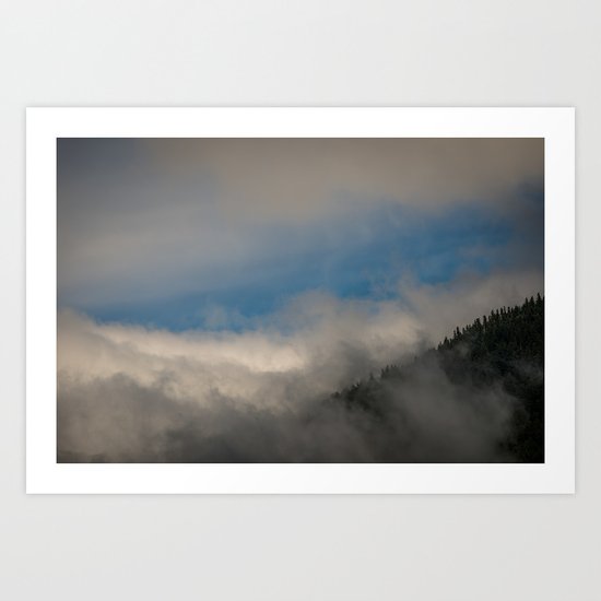 Olympic National Park Art Print