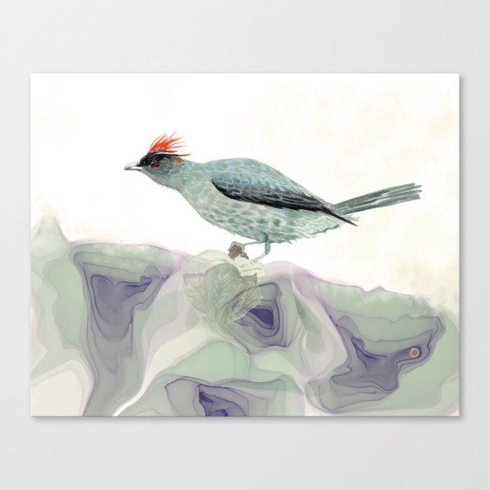 Red-Crested Cotinga Tropical Bird in Sage Green Palette Canvas Print