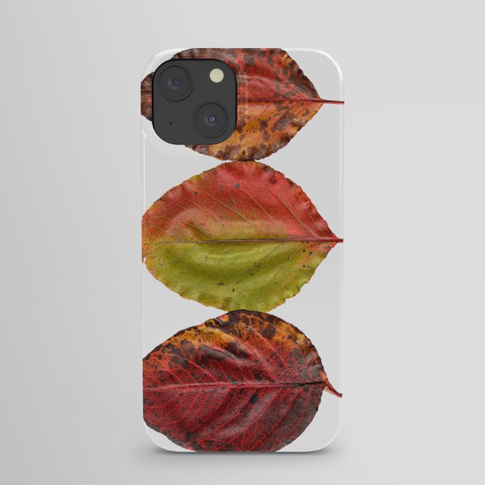 Fal Leaves Mother Nature iPhone Case