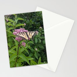 Eastern Tiger Swallowtail Stationery Cards