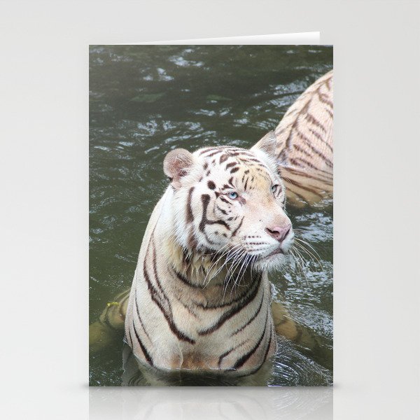White tiger Stationery Cards
