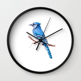 Watercolor illustration. Bright Blue Jay bird on white background. Wall Clock