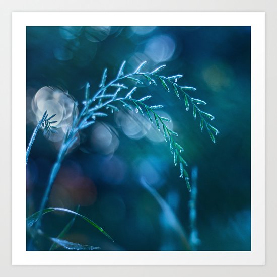 Cold December Art Print
