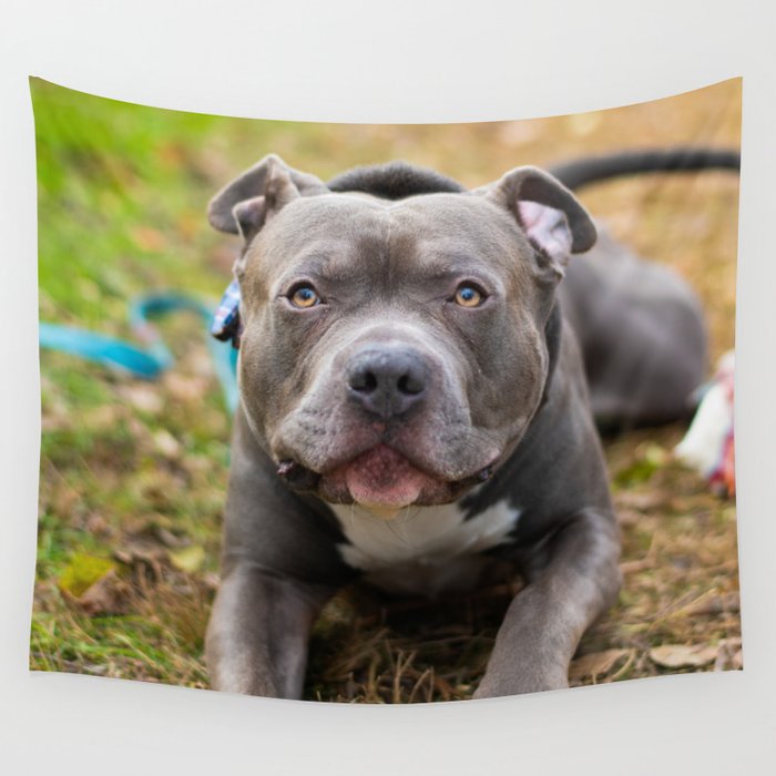 Best Boy Wall Tapestry