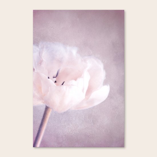 april Canvas Print
