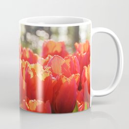Tulips field 29 Coffee Mug