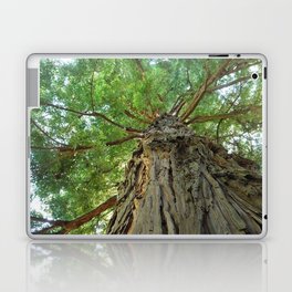 Up (Photograph of Tall Tree)  Laptop Skin
