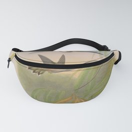 Vintage Print - A Monograph of the Hummingbirds (1849) - Pallid Hermit Fanny Pack