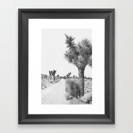 Joshua Tree Path - Black and White Photography, Landscape Photography Framed Art Print