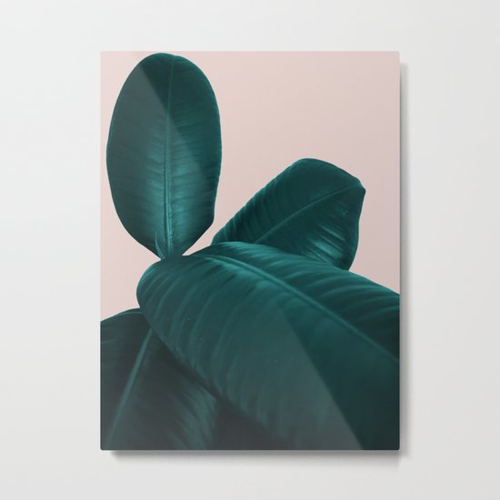 Ficus Elastica #4 #art #society6 Metal Print