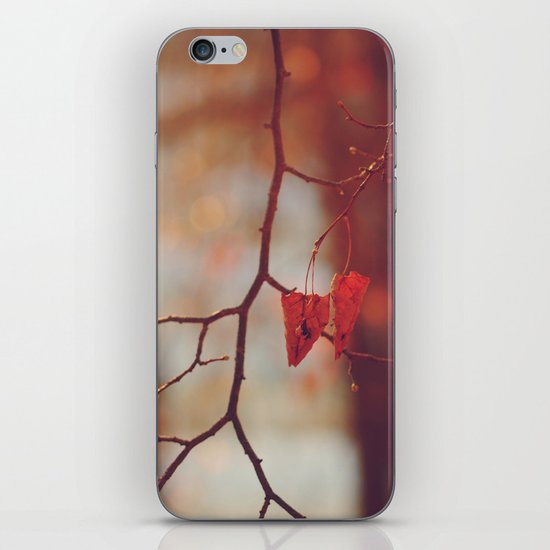 autumn trees iPhone & iPod Skin