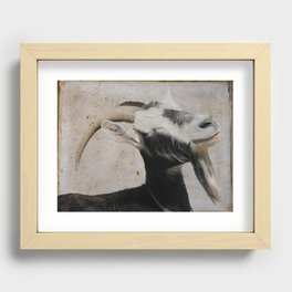 The Zen Goat Recessed Framed Print