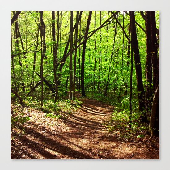 Dark Nature Canvas Print