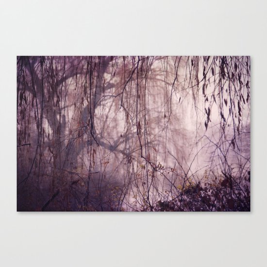 Willow Canvas Print