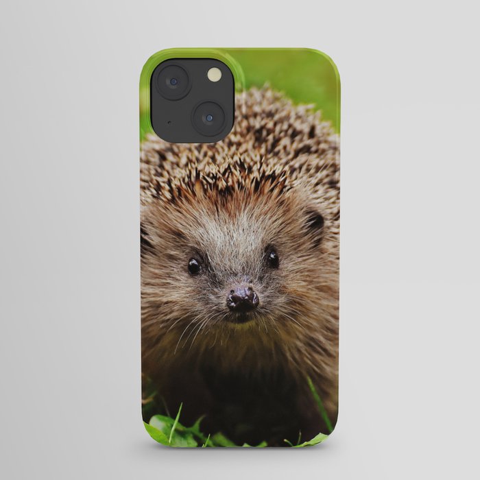 Cute Little Hedgehog iPhone Case