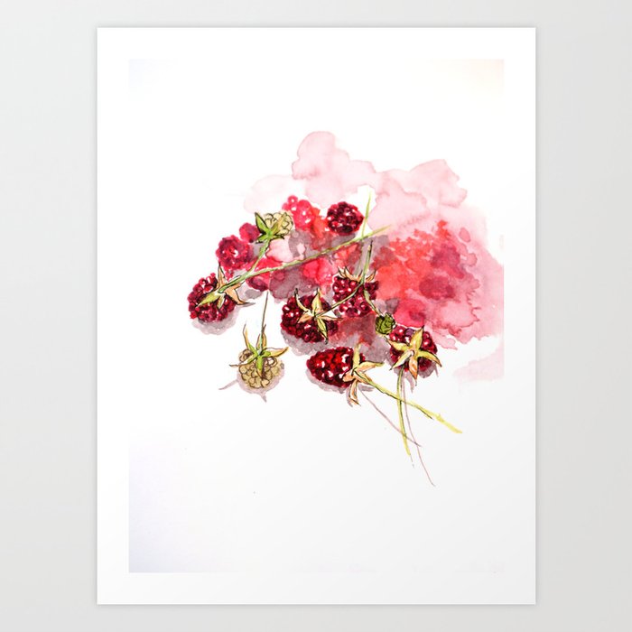 raspberries Art Print