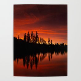 Red Reflections Poster