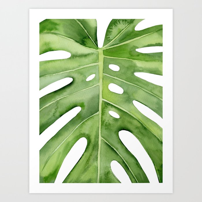 Discover the motif MONSTERA by Art by ASolo as a print at TOPPOSTER
