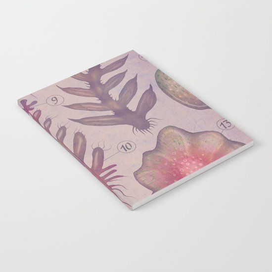PLANTAE IV Notebook