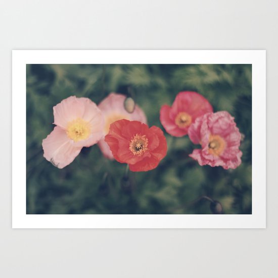 Poppies Art Print