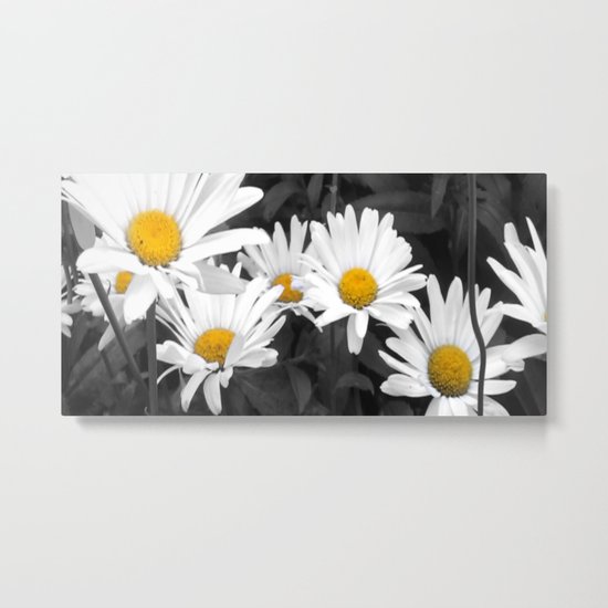 Daisy Metal Print