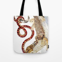 Spectacled Caiman and a False Coral Snake by Maria Sibylla Merian c.1705-10 // Wild Animals Decor Tote Bag